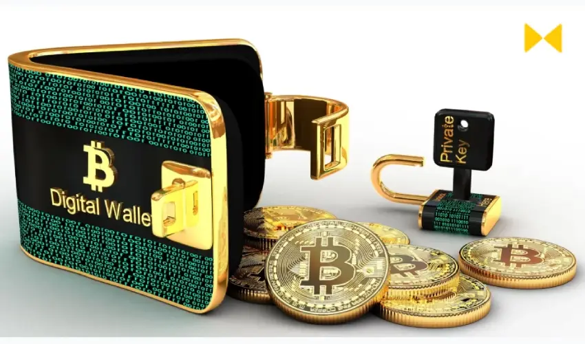 کیف پول‌های بیت کوین در سال ۲۰۲۵